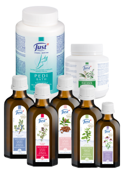 건강한 뷰티 SPA D 세트