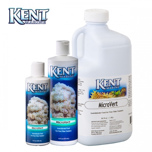 KENT 마이크로 버트  473ml