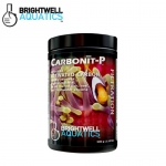 브라이트웰 Carbonit-P 500g