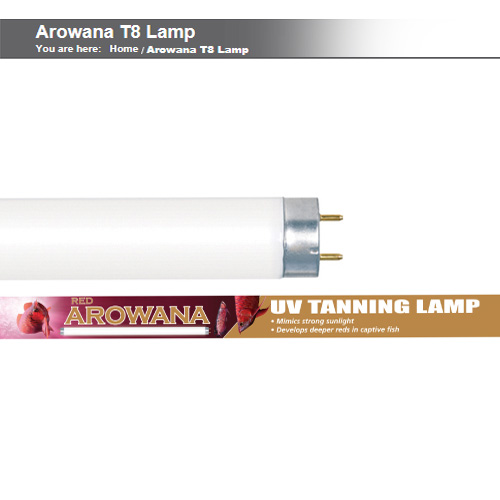아카디아 홍용 아로와나 전용 T8 UV 태닝등 30W (90cm)