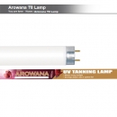 아카디아 금용 아로와나 전용 T8 UV 태닝등 36W (40W와 동일제품) (120cm)
