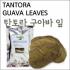 탄토라 구아바잎 (Tantora Guava Leaves 10 leaves/Bag) - 새우들을위한 자연영양