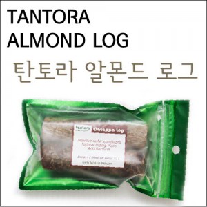 탄토라 알몬드 로그 (Tantora Catappa log) - 자연수로 바꾸어주는 신비의 피트머스!!