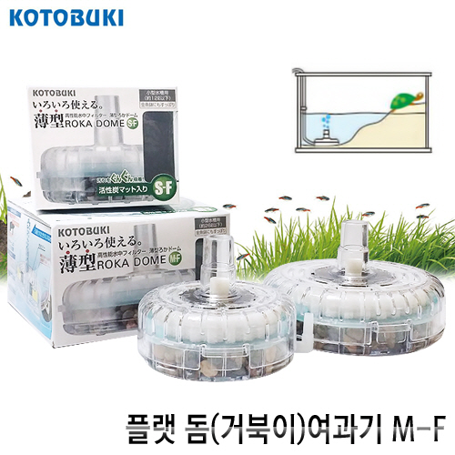 고토부키 KOTOBUKI 플랫돔 M-F(대)