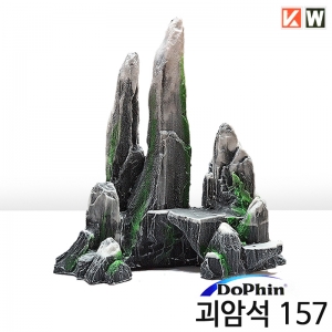 괴암석 157