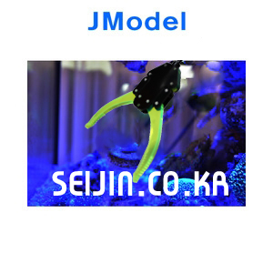 JModel - 까마귀 집게 (양방향)