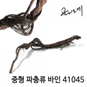 중형 파충류 바인 (41045)