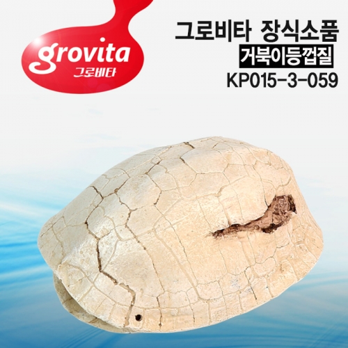 그로비타 장식소품 거북이등껍질 [KP015-3-059]