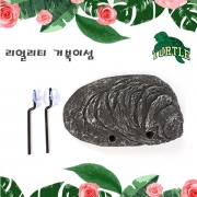 리얼리티 거북이섬 (대) [부상식 쉼터]