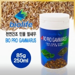 [바이오라이프] 바이오 프로 감마루스 (250ml/30g)