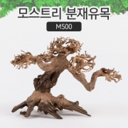 모스트리 분재유목(S) M500