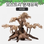 모스트리 분재유목(S) M330