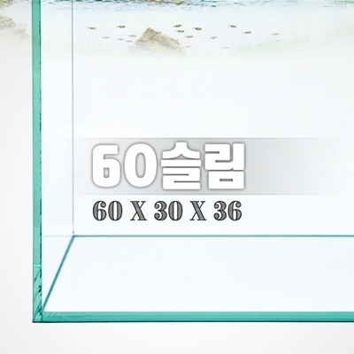 그린월드 60슬림 (일반) 수조 (60x30x36,6T)