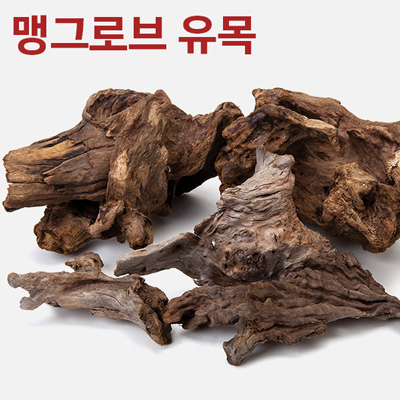 맹그로브 유목 (1kg)