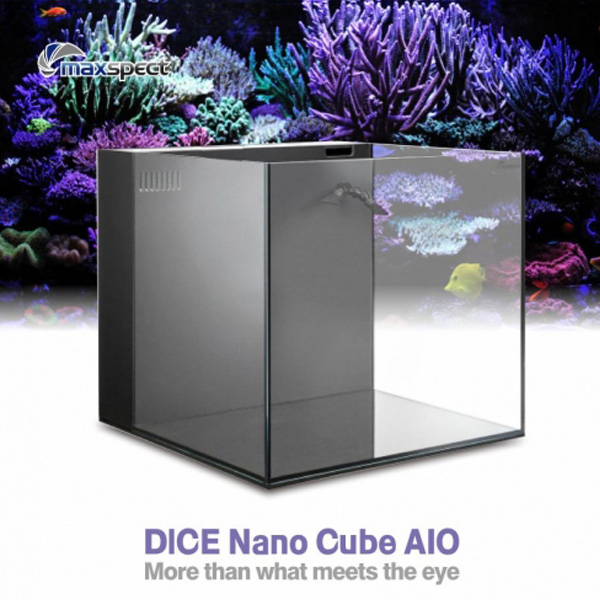 Dice Nano Cube AIO_수조-맥스펙트
