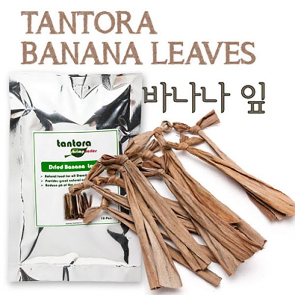 탄토라 바나나 잎(Tantora Banana Leaf 10 pcs/bag)