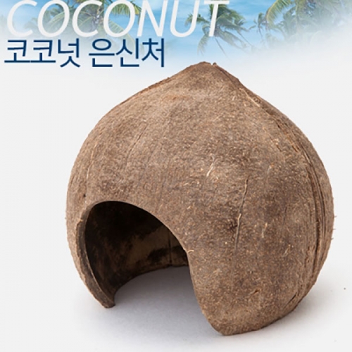 코코넛 은신처