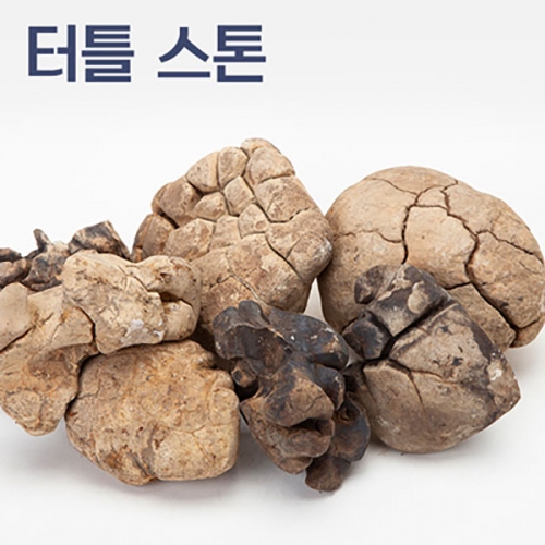 터틀 스톤 [4kg]