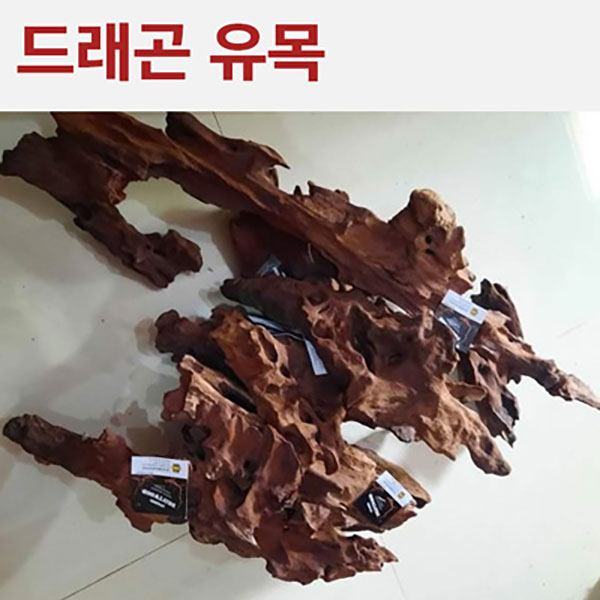 드래곤 유목 (1kg)