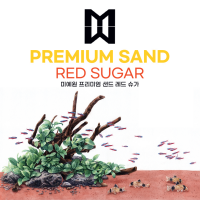 미예원 프리미엄샌드 레드슈가 4kg