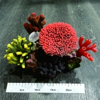 인조산호-29x16x18.5cm (SH9508-5 with PU corals)-인조산호-원아쿠아