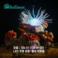 코랄댄서 (Coral Dancer Glo S1)조명포함-Reef Dancers