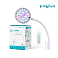 페이토 W RGB 스마트 심플라이트 PK-L10 USB(화이트)