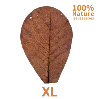 레이온 알몬드잎 XL (20cm / 10장)