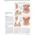 THE NETTER COLLECTION OF MEDICAL ILLUSTRATIONS: 근육뼈대계통 (3권 Set)