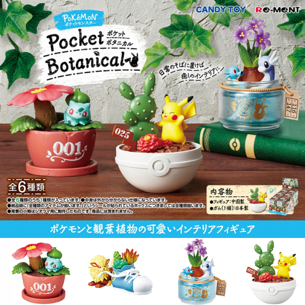 [입고완료]식완 포켓몬스터 포켓 보태니컬 식물학 화분 Pocket Botanical 피규어 6종 풀박스