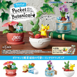 [입고완료]식완 포켓몬스터 포켓 보태니컬 식물학 화분 Pocket Botanical 피규어 6종 풀박스