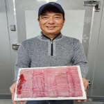 흑산도 홍어 흑산홍어 삭힌홍어 250g 500g 1kg