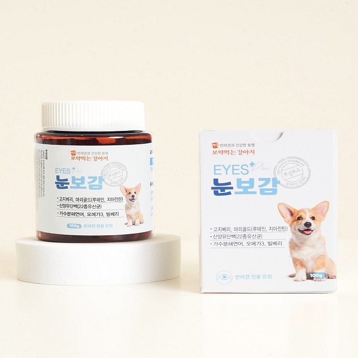 보약먹는 강아지 눈보감