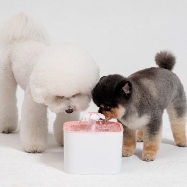 [반려생각] 반려동물 정수기 필터(6개입)