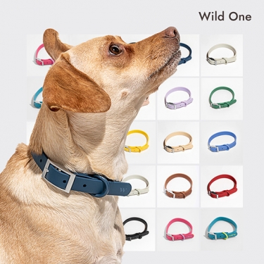 [와일드원] 목줄 XS WO-CLR-XS