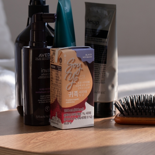 소이요 귀족서리태두유