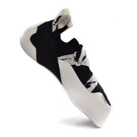 하일로노무스 뉴비 올라운드용 (BW) / 암벽화 스포츠 클라이밍