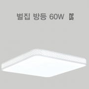 LED 방등 벌집 60W 주광색