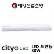 LED 트윈등 30W 주광색 부메랑 Cityo