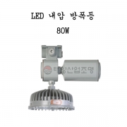 LED 내압 방폭등 80W SDLS