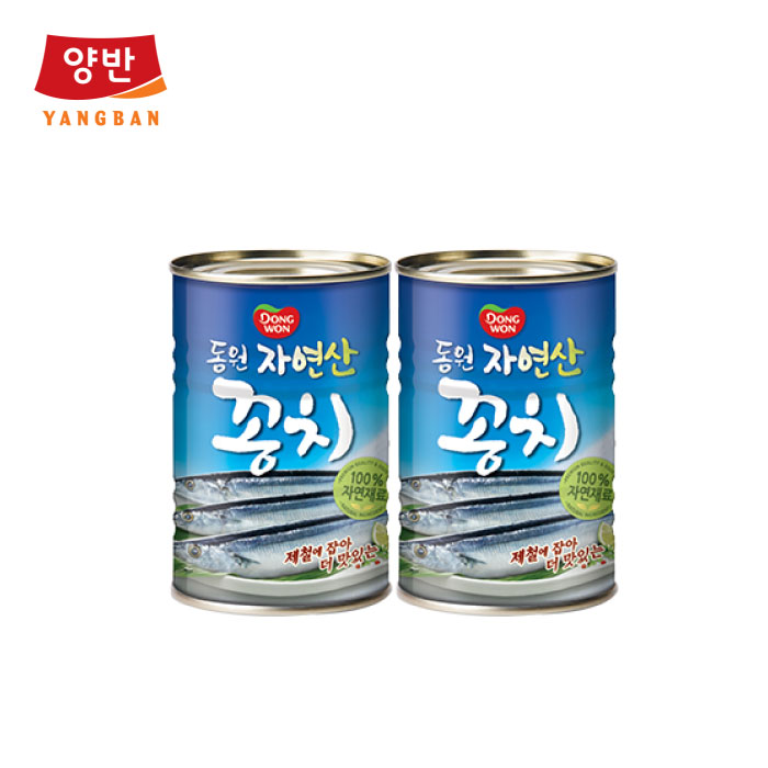 동원 자연산꽁치 300g*2