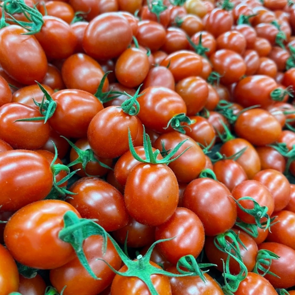 [탑마루] 대추방울 토마토 2kg