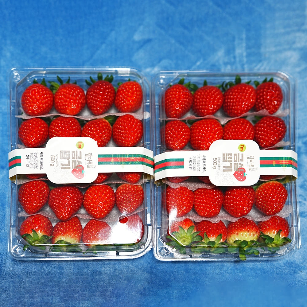 [익산 탑마루] 금실딸기 900g (450g x 2팩)