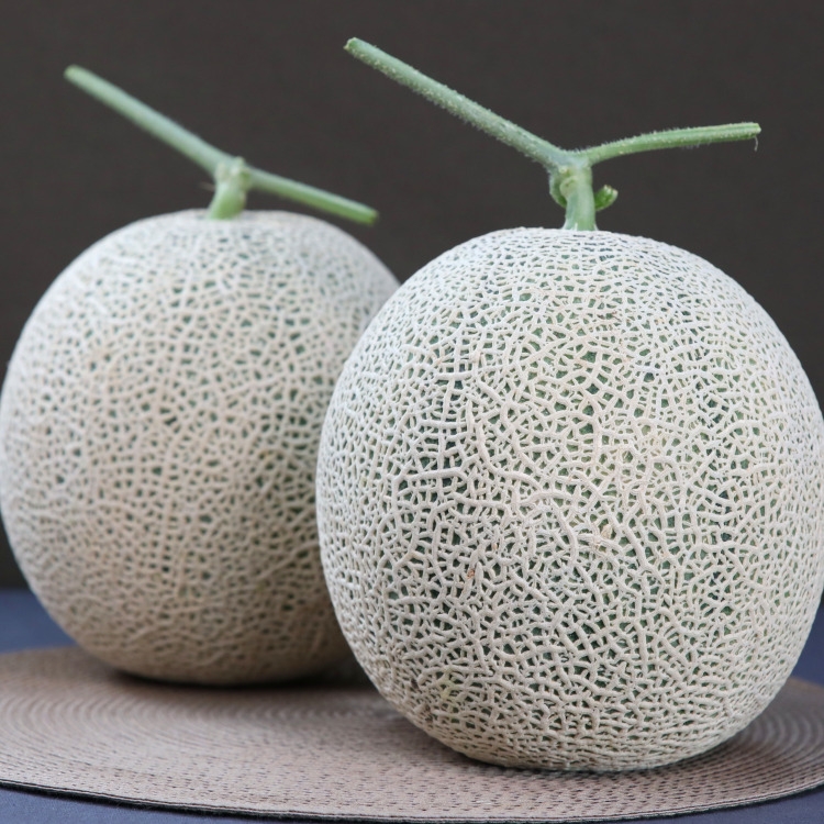 탑마루 프리미엄 고당도 머스크멜론 선물세트 3.2kg 4kg 8kg