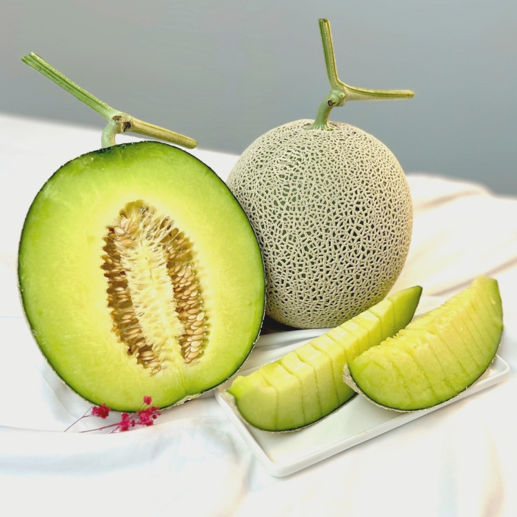 탑마루 프리미엄 고당도 머스크멜론 선물세트 3.2kg 4kg 8kg