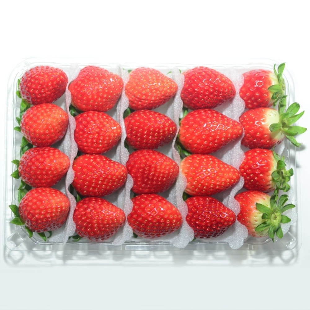 [익산 탑마루] 홍희 딸기 900g (450g x 2팩)