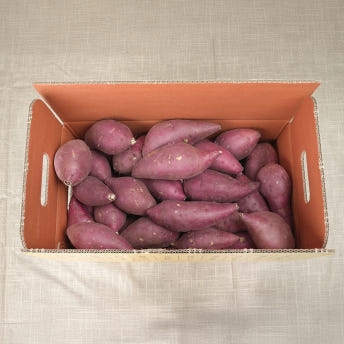 익산 날씬이 고구마 5kg/10Kg (호박밤)