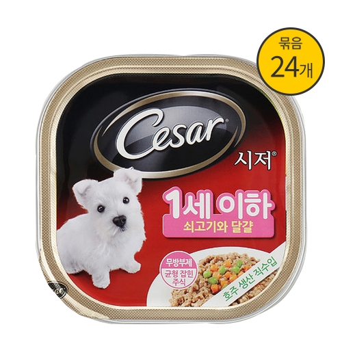 시저캔 쇠고기와 달걀 1세이하 퍼피 100g X 24캔