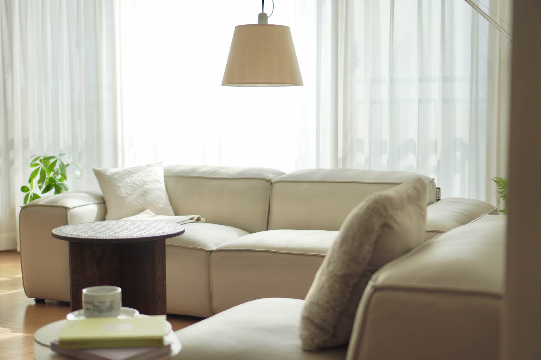 DSC06700_101758.jpg DSC06700_101758.jpg