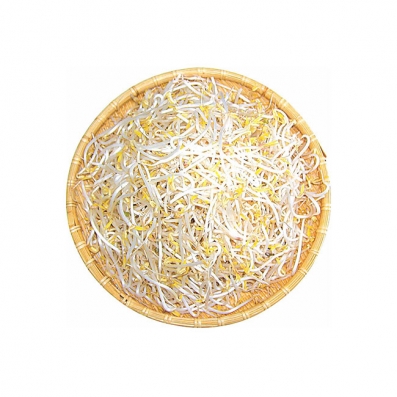 장수 곱슬이 콩나물 3.5kg 내외